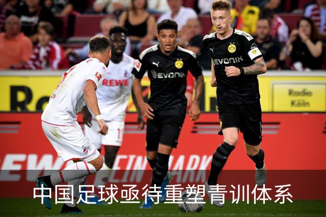 中国足球亟待重塑青训体系