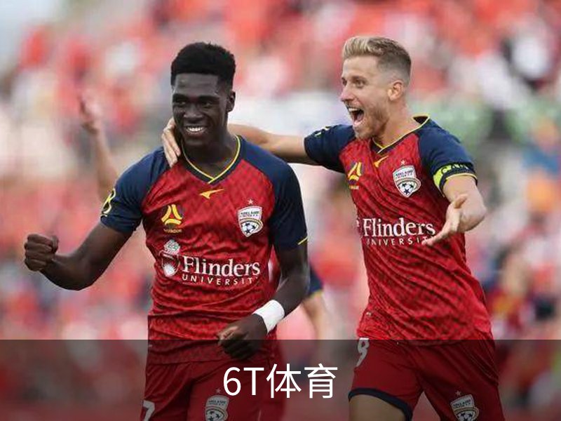 6T体育介绍